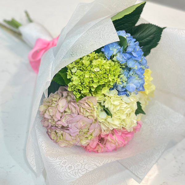 Hortensia's Bunch