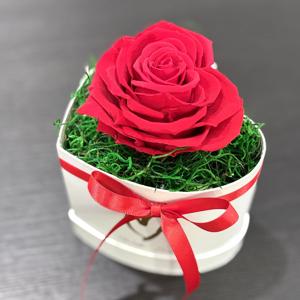 With Love – Lovely Orchid Store